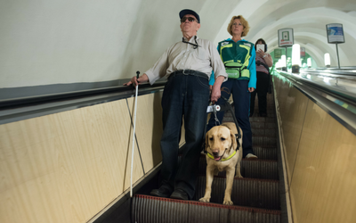 Guide dogs week store 2019